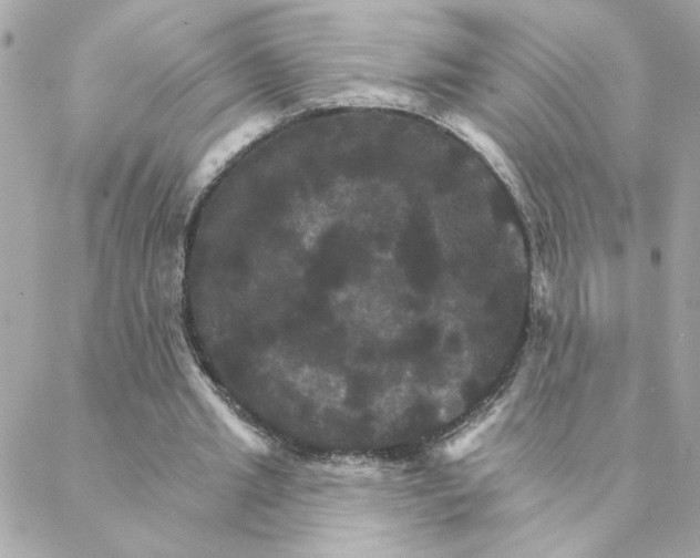 X0000088200437200706051236