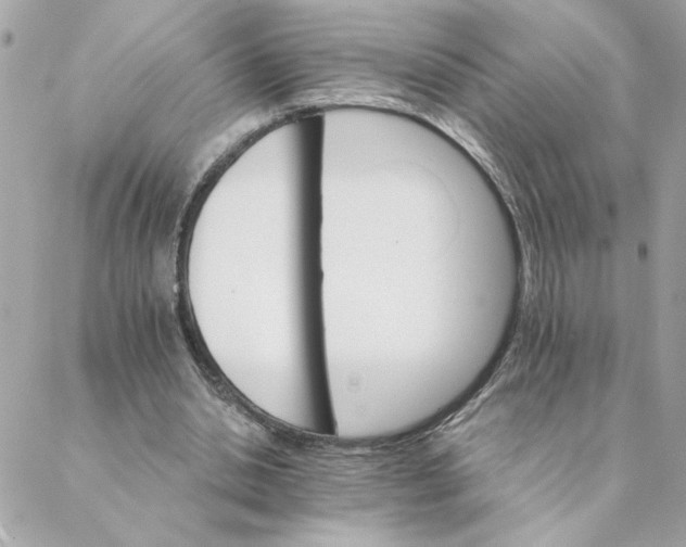 X0000088200438200706051236