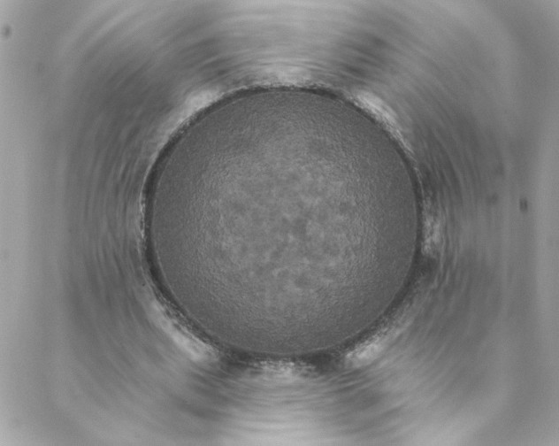 X0000088200439200706051236