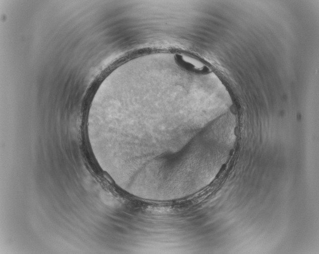 X0000088200440200706051236