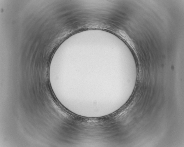 X0000088200441200706051236