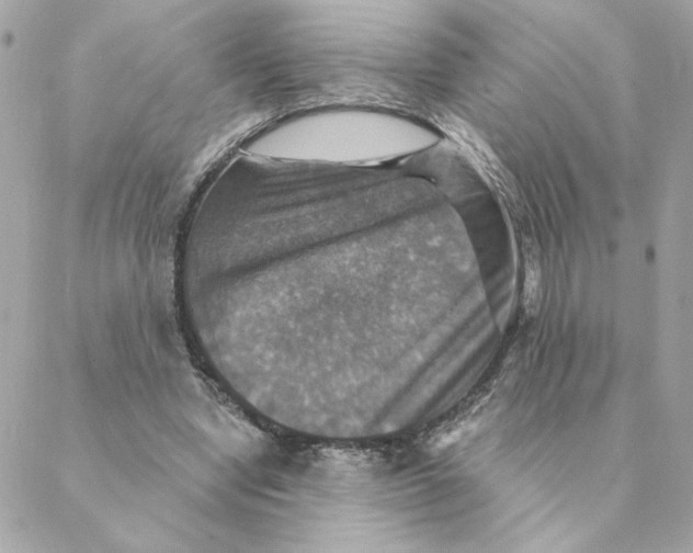 X0000088200442200706051236