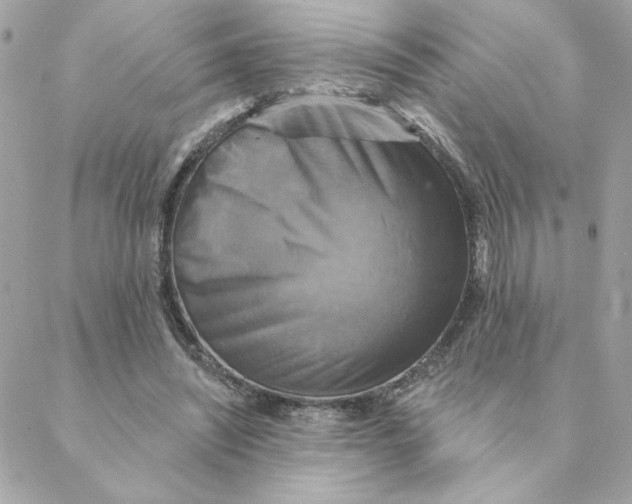 X0000088200444200706051236