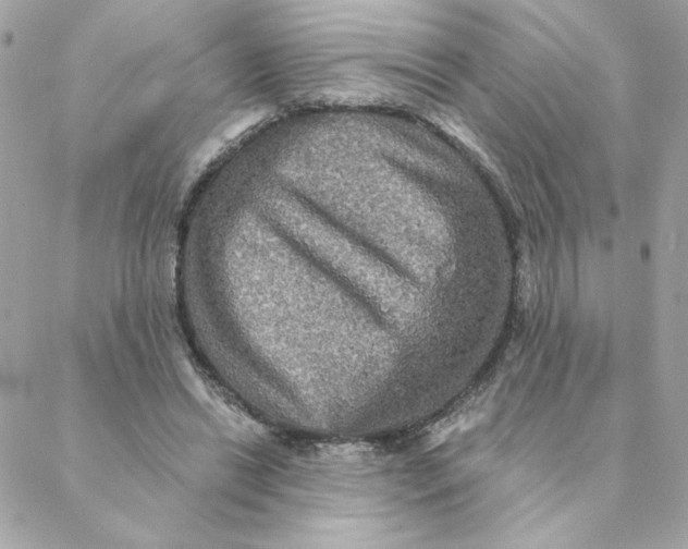 X0000088200446200706051236