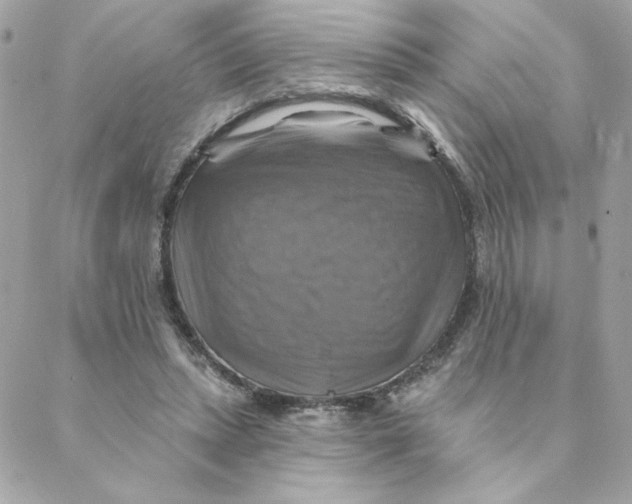 X0000088200447200706051236