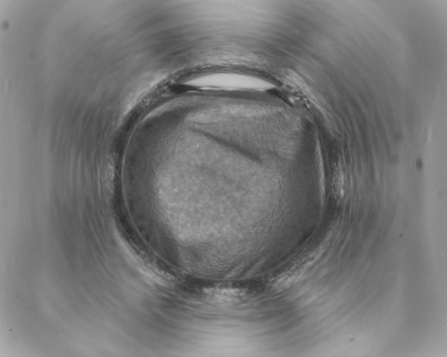 X0000088200448200706051236