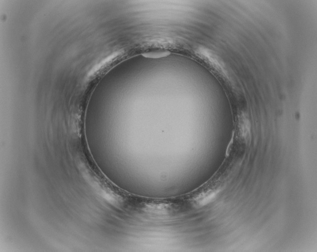 X0000088200450200706051236