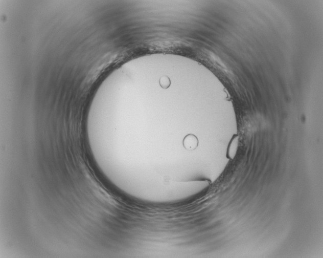 X0000088200452200706051236