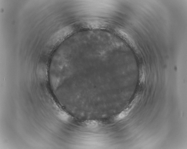 X0000088200453200706051236