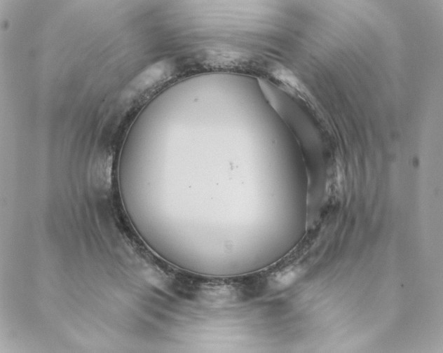 X0000088200454200706051236