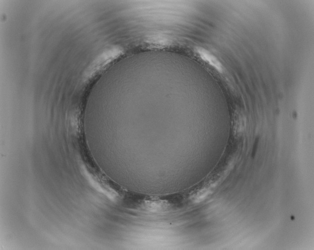 X0000088200455200706051236