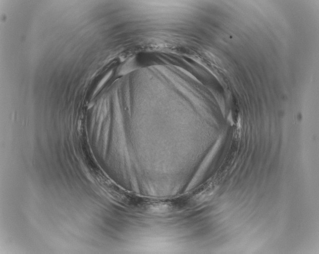 X0000088200456200706051236