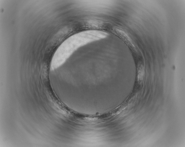 X0000088200457200706051236