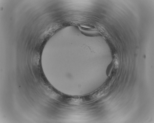 X0000088200458200706051236