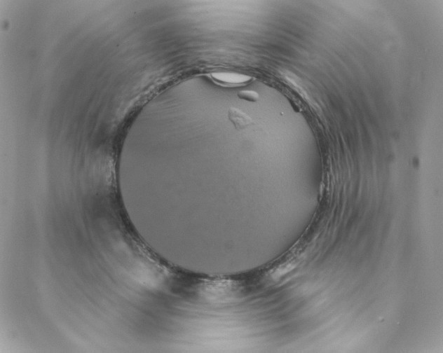 X0000088200459200706051236