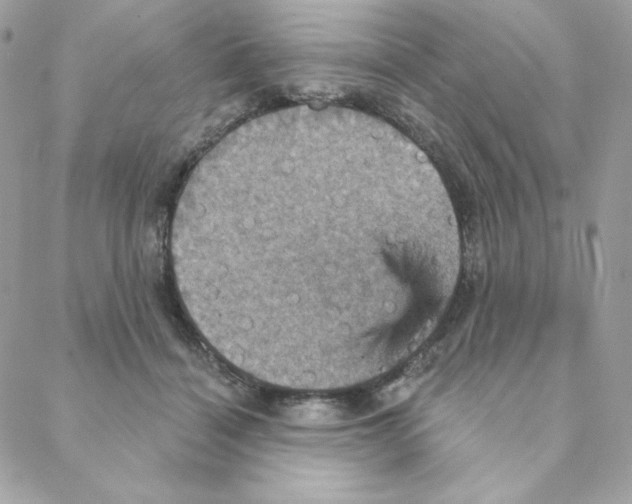 X0000088200460200706051236