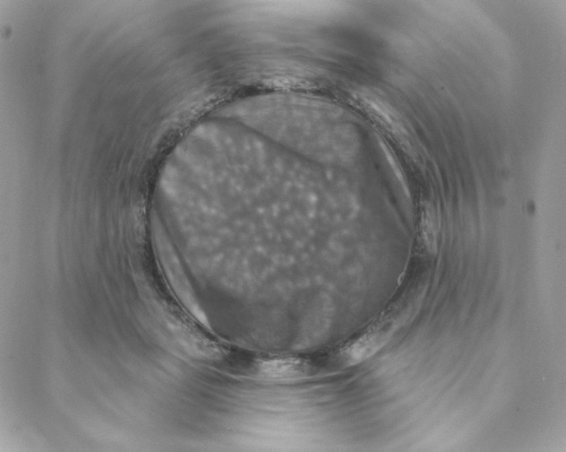 X0000088200461200706051236