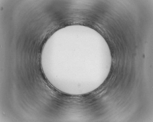 X0000088200462200706051236