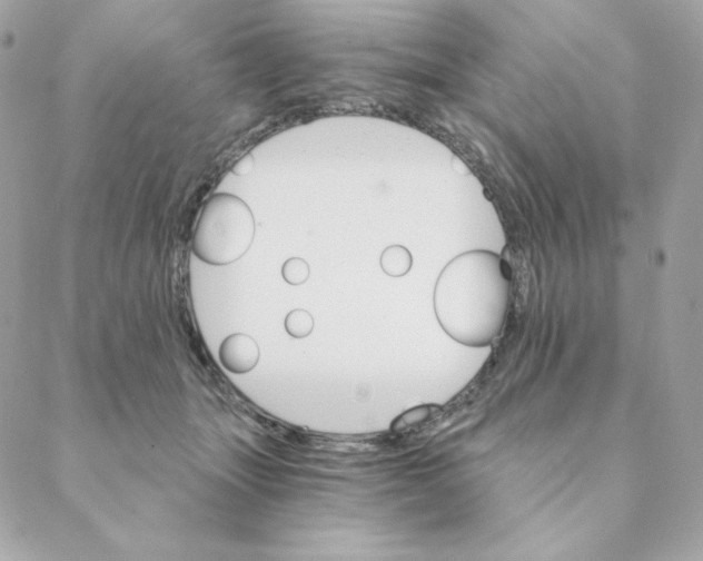 X0000088200463200706051236