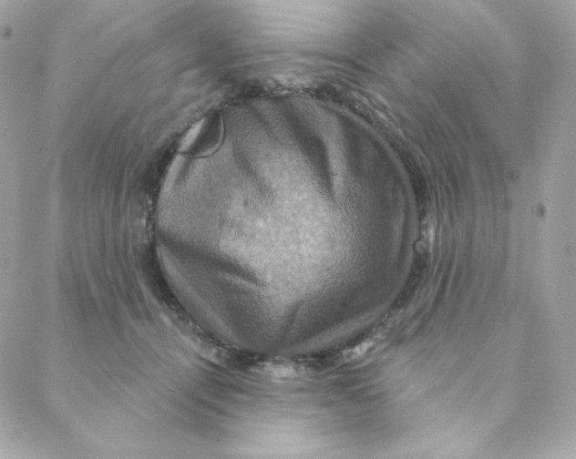 X0000088200464200706051236