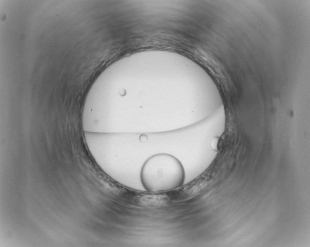 X0000088200465200706051236