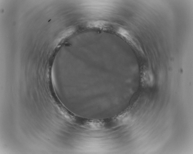 X0000088200466200706051236