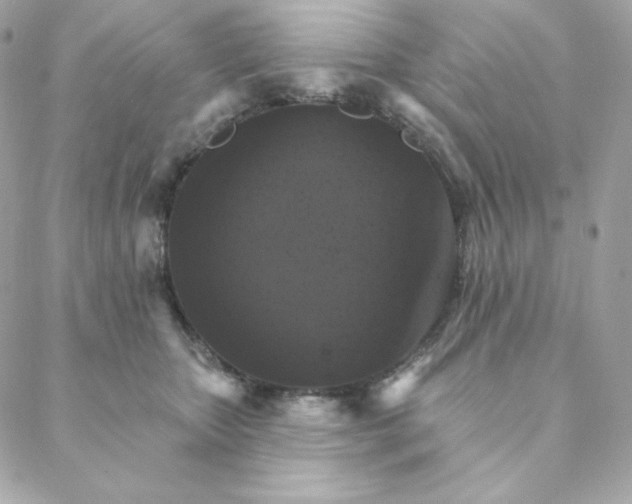 X0000088200467200706051236