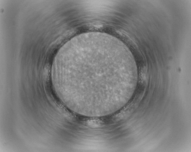 X0000088200468200706051236