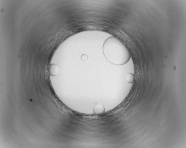 X0000088200469200706051236