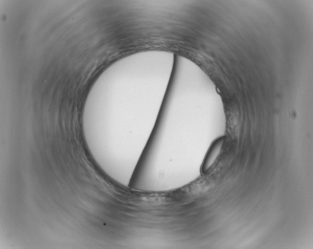 X0000088200470200706051236