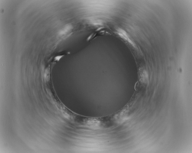 X0000088200471200706051236