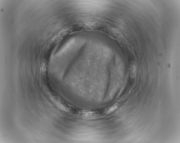 X0000088200472200706051236