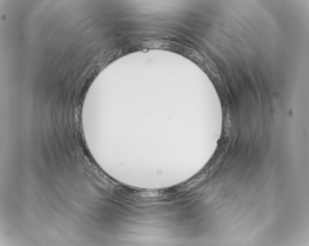 X0000088200473200706051236