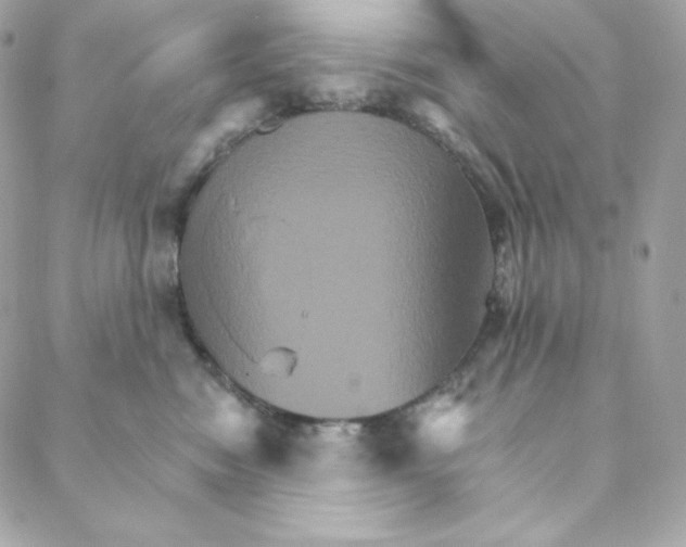 X0000088200474200706051236