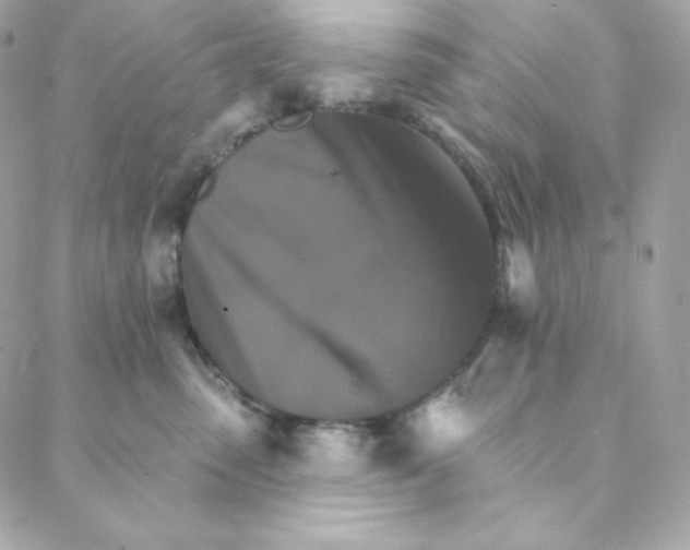 X0000088200475200706051236