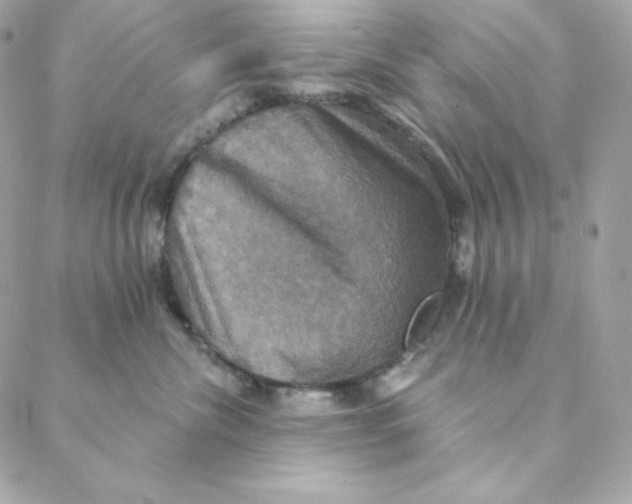 X0000088200476200706051236