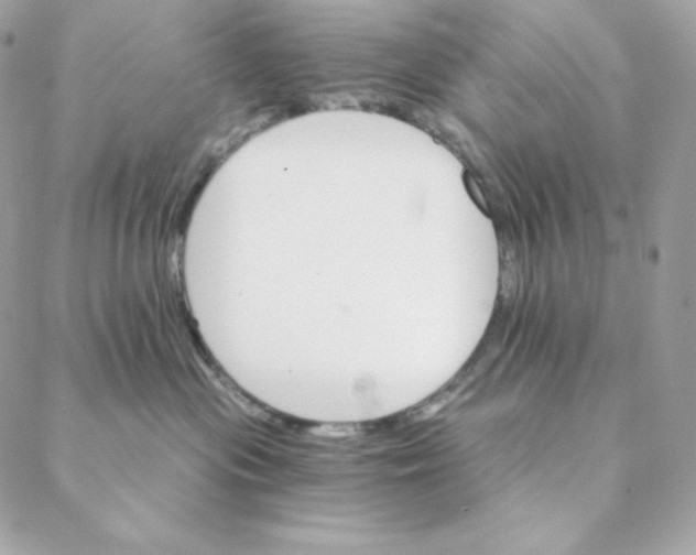 X0000088200477200706051236