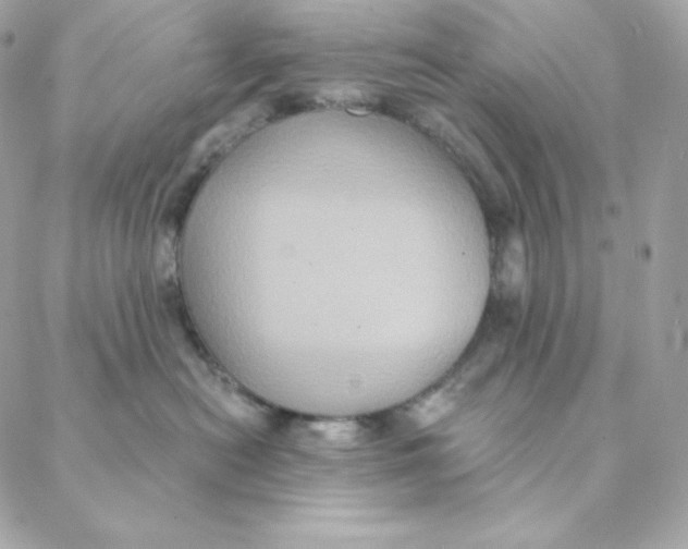 X0000088200478200706051236