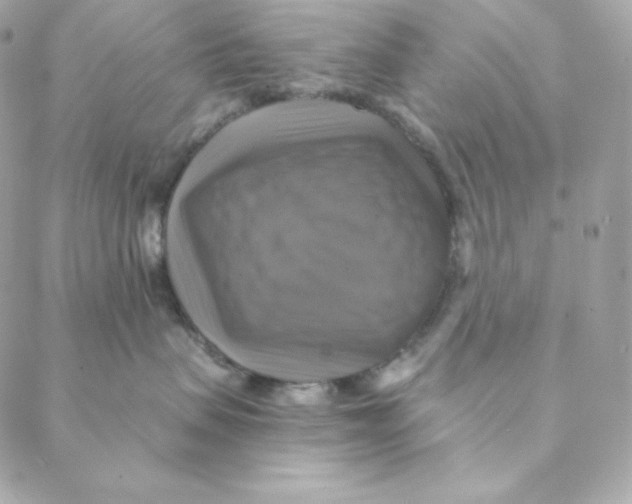 X0000088200479200706051236