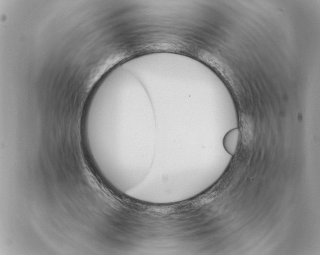 X0000088200482200706051236