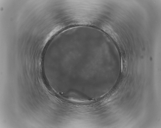 X0000088200483200706051236