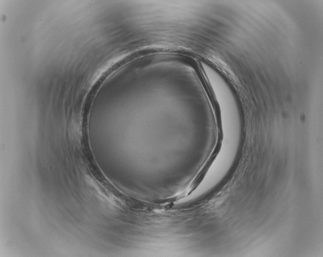 X0000088200484200706051235