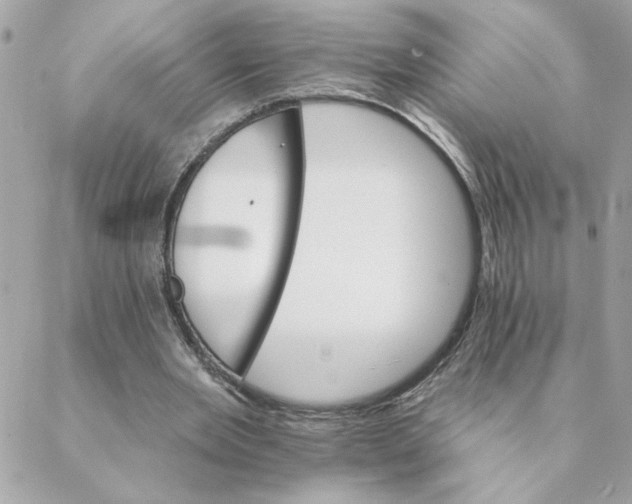 X0000088200485200706051235