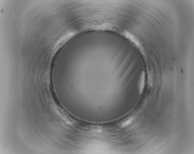 X0000088200486200706051235