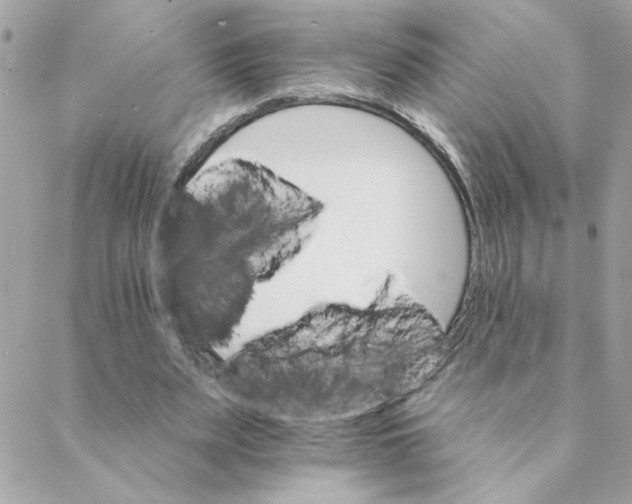 X0000088200487200706051235