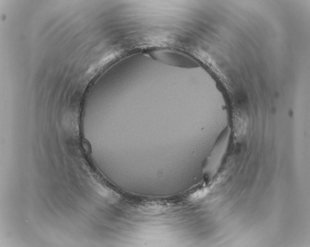 X0000088200489200706051235