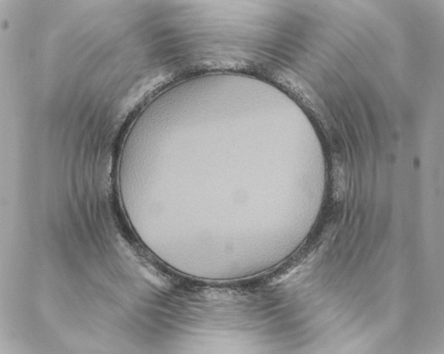 X0000088200490200706051235