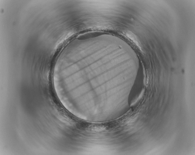 X0000088200491200706051235