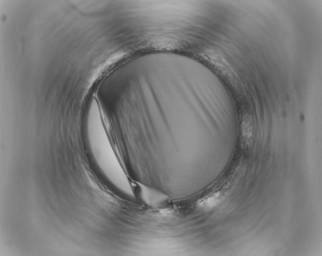 X0000088200492200706051235