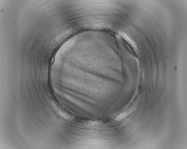 X0000088200493200706051235